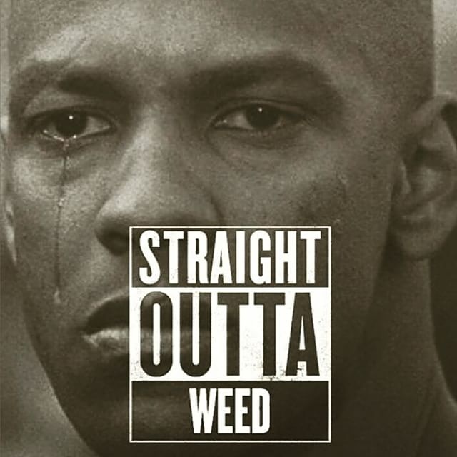 IMG_20150809_130704.jpg image