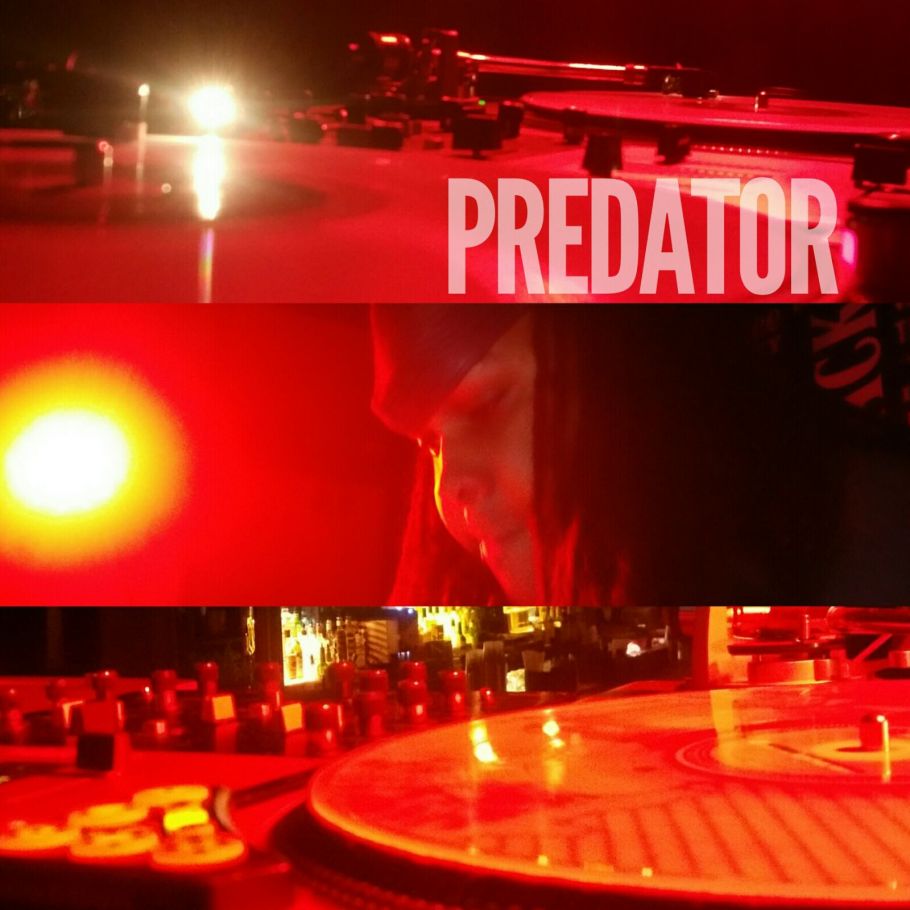 wp-1441626834078 image